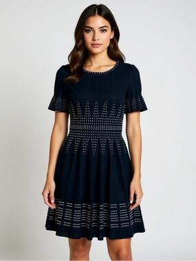 Bebe Black White Pleated Short Sleeve Fit Flare Dress Size Medium Knit Texture